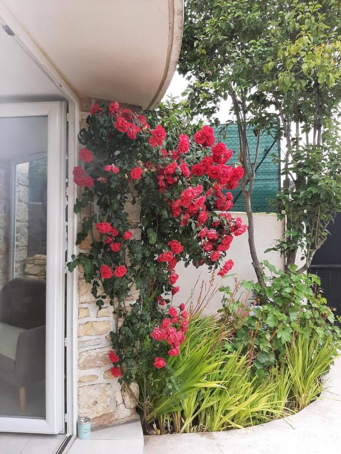 Appartement Climatise Au Calme En Provence Pierrefeu-du-Var Exterior photo
